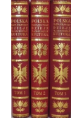 Polska jej dzieje i kultura od czasów najdawniejszych aż do chwili obecnej Reprint z ok. 1927 Tom 1 do3