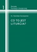 Co to jest liturgia/ Znak i posługa światła w liturgii