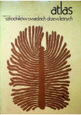 Atlas szkodników owadzkich drzew leśnych