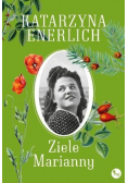 Ziele Marianny