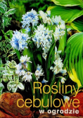 Rośliny cebulowe