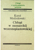 Chłopi w monarchii wczesnopiastowskiej