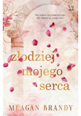 Złodziej mojego serca