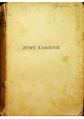 Żywe kamienie 1922 r.