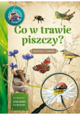 Co w trawie piszczy