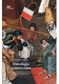 Ontologia symetryzmu