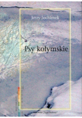 Psy kołymskie