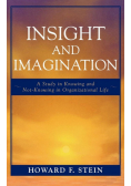 Insight and Imagination