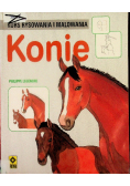 Kurs rysowania i malowania Konie