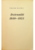 Dzienniki ( 1910 - 1925 )