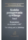 Kodeks postępowania cywilnego, tom I