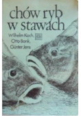 Chów ryb w stawach