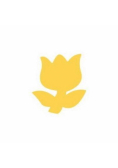 Dziurkacz ozdobny 2,5cm tulipan