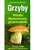 Grzyby Wielki ilustrowany przewodnik
