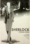 Sherlock studium w różu