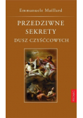 Przedziwne sekrety dusz czyśćcowych