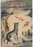 Bari Syn szarej wilczycy, 1949 r.