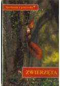 Spotkania z przyrodą zwierzęta