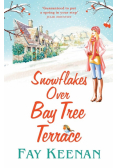 Snowflakes Over Bay Tree Terrace