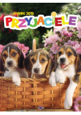 Kalendarz 2015 Przyjaciele
