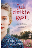 Jak dzikie gęsi