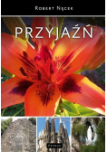 Przyjaźń