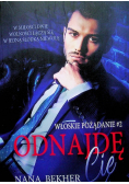 Odnajdę cię Tom 2 Włoskie pożądanie