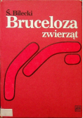 Bruceloza zwierząt