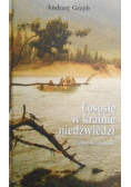 Łososie w krainie niedźwiedzi