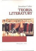 Teoria działania