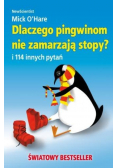 Dlaczego pingwinom nie zamarzają stopy?