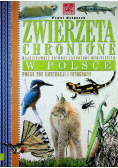 Zwierzęta chronione w Polsce