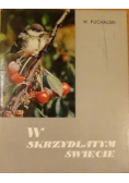 W skrzydlatym świecie
