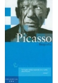 Picasso, biografia
