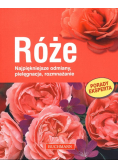 Róże