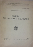 Rośliny na naszych szlakach