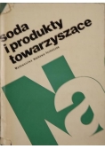 Soda i produkty towarzyszące. Poradnik inżyniera i technika