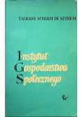 Instytut gospodarstwa społecznego