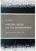 Grzyby leśne na tle środowiska