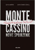 Monte Cassino nowe spojrzenie