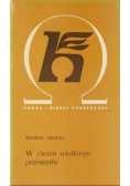 W cieniu wielkiego przemysłu