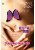 Polowanie na motyle,Nowa