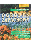 Sami zakładamy ogródek zapachowy
