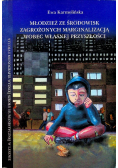Młodzież ze środowisk zagrożonych marginalizacją wobec własnej przyszłości