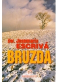 Bruzda