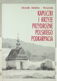 Kapliczki i krzyże przydrożnego polskiego podkarpacia