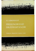 Pielęgnowanie drzewostanów