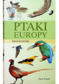 Ptaki Europy przewodnik