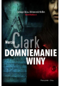 Domniemanie winy