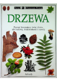 Drzewa  Poznaj fascynujący świat drzew , ich budowę , różnorodność i rozwój